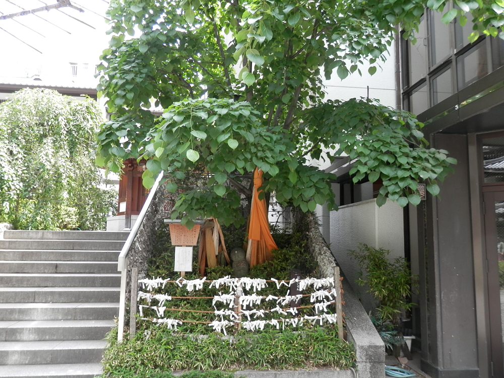 京都 六角堂