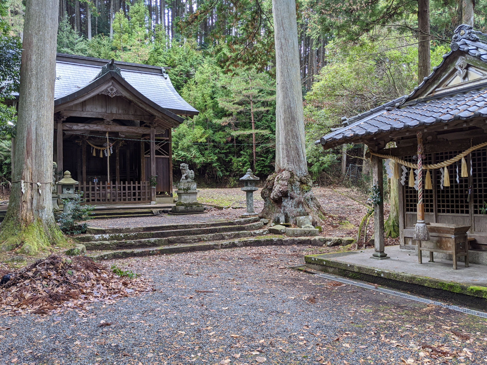 八幡神社の境内